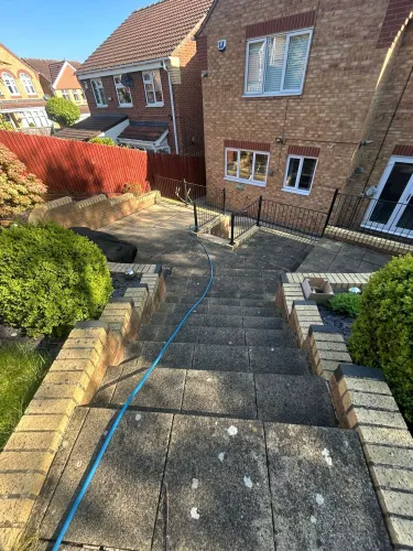 Professional Patio Cleaning and Algae Removal Transformation (image 5 of 8)