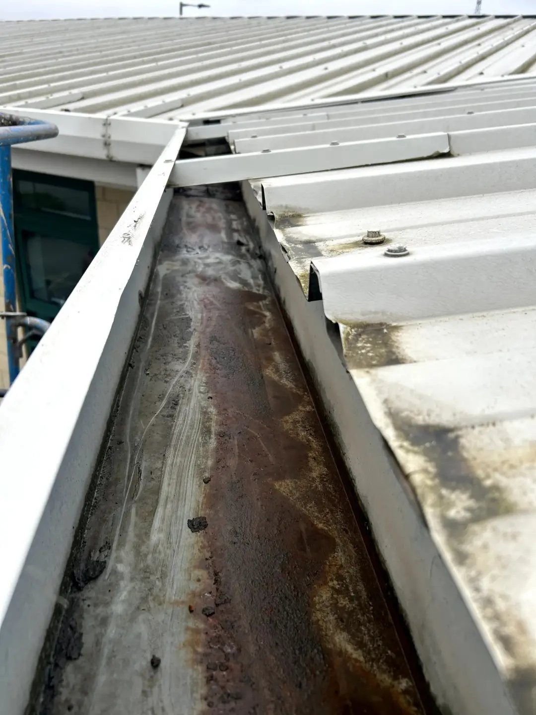 Signs Your Commercial Guttering Need Cleaning Doncaster